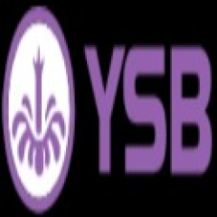 ysb66aorg