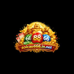 soicau666innet