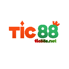 tic88snet