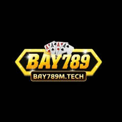 Bay789mtech