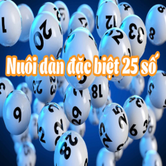 nuoidande25sok
