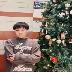 ceotranhoangduan