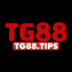 tg88tips