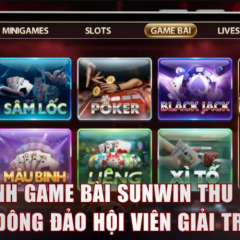 gamebaisunwin1