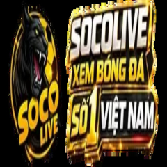 socolive2cam1