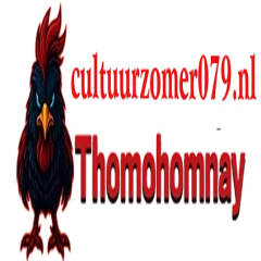 thomohomnaycultuur