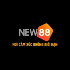 new881info
