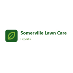 lawncaresomerville1