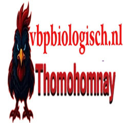 thomohomnayvbp