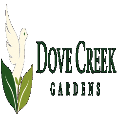 dovecreekgardens