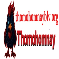 thomohomnayblv1