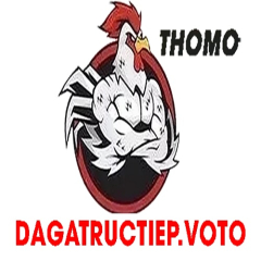 dagatructiepvoto