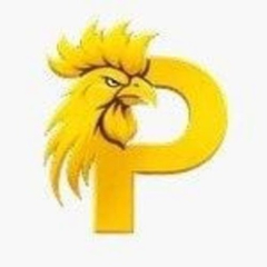 paitosdyio