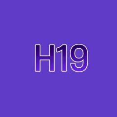 h19site