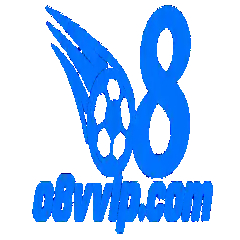 O8vvipcom