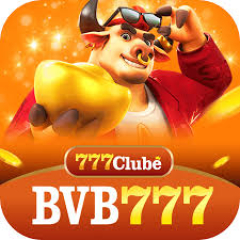bvb777