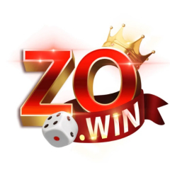 Zowin Playcom