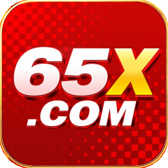 p65x