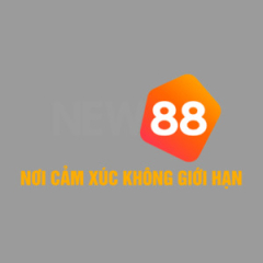 new882info21
