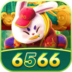 y6566