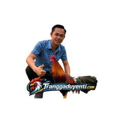 traigaduyenti1