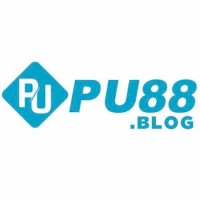 pu88blog