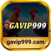 gavip999cam