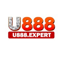 u888expert1
