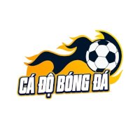 Trang cá độ bóng đá 