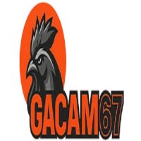gacam67ringger
