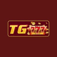 tg777ngo2024
