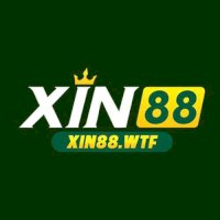 xin88wtf