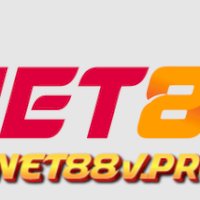 net88vpro