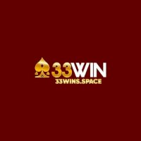 33winsspace