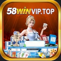 58winviptop
