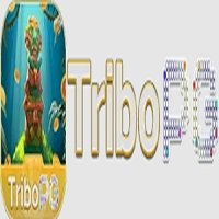 tribopgnetbr
