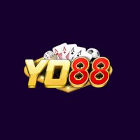 yo88observer