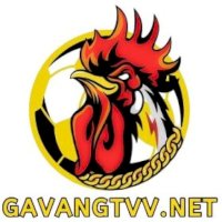 gavangtvvnet