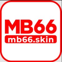 mb66skin