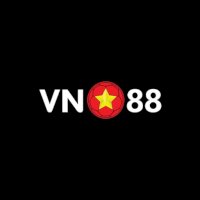 vn88zzcom