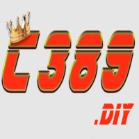 c389diy