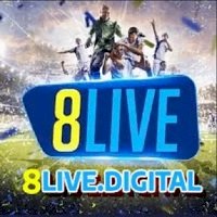 8livedigital
