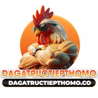 dagatructiepthomoco