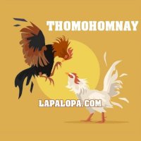 thomohomnaylapalopa