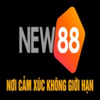 new8ycom1