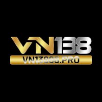 vn13888pro