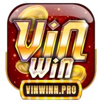 vinwinnpro