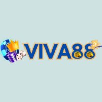 viva881black