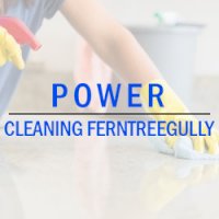 Power Cleaning Ferntree