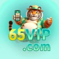 65vipnetbr